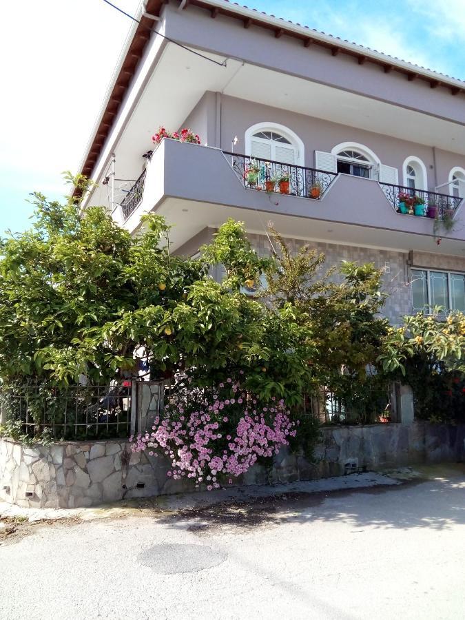 Vonitsa Loft Apartment 1 Dış mekan fotoğraf